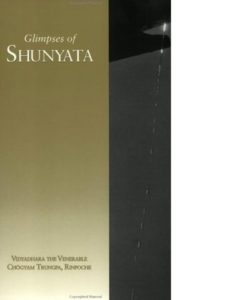 Glimpses of Shunyata