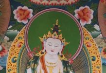 Sakyong Mipham Rinpoche Receives the Rinchen Terdzo