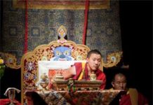 Celebrating the Return in Colorado