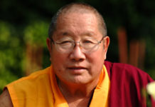 His Holiness Drubwang Pema Norbu Rinpoche Passes into Parinirvana