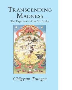 Transcending Madness
