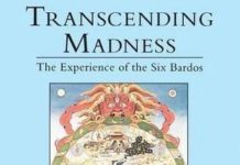 Transcending Madness: The Experience of the Six Bardos