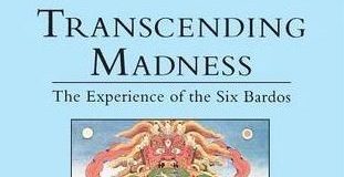 Transcending Madness: The Experience of the Six Bardos