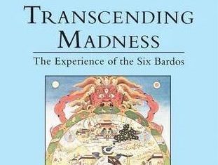 Transcending Madness: The Experience of the Six Bardos