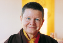 How I Met Rinpoche