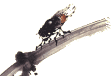 My Very Short Life in Tibet