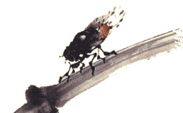 My Very Short Life in Tibet