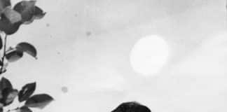 Creating a Drala Culture