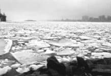 When Ice Clogged the Harbour