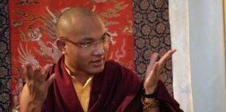 The Visit of His Holiness the 17th Gyalwang Karmapa, Ogyen Trinley Dorje