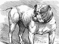 On Shambhala and the Samaya Connection