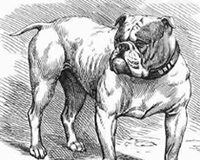 On Shambhala and the Samaya Connection