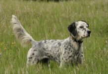 Mindfulness and Awareness