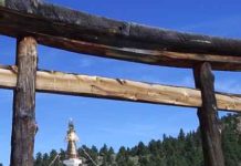 20 Years of Tributes from the Mahasangha