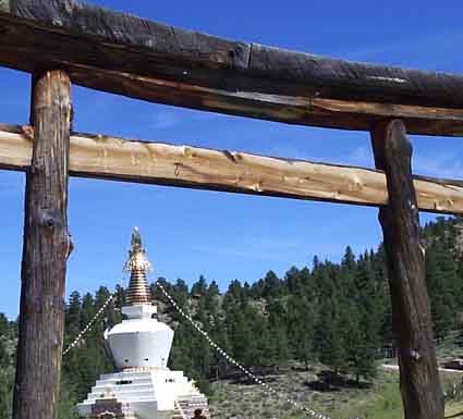 20 Years of Tributes from the Mahasangha