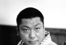 The Kiss and the Pimple