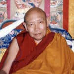 Trulshik-Rinpoche