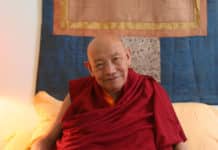 Parinirvana of Kyabje Trulshik Chokyi Lodro Rinpoche