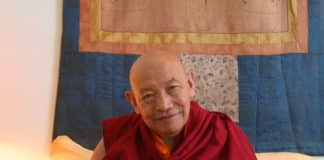 Parinirvana of Kyabje Trulshik Chokyi Lodro Rinpoche