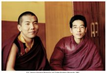 Tributes to Traleg Rinpoche