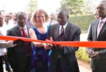 Cooking Rice with Marty Janowitz: Conversation with Patty Livingston