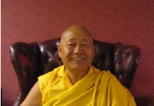 Taming a Wild Horse: Lama Yeshe Rinpoche Recalls Trungpa Rinpoche