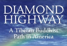 Ten Reasons to Read Diamond Highway
