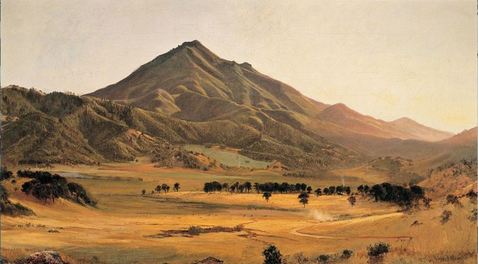 Planting Terma on Mount Tamalpais