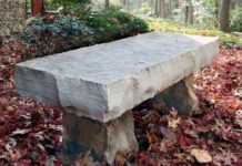 A Half Hour in His Company