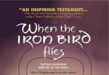 Video Excerpt from When the Iron Bird Flies