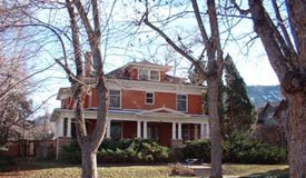 Banana Leaves, Butlers, and a Miracle on Mapleton Avenue