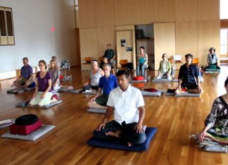 A Conversation with Jane Kolleeny