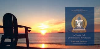 What I Did on My Summer Vacation