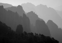 Please Give Me Space