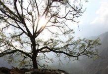 Firsthand Account from Nepal