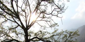 Firsthand Account from Nepal