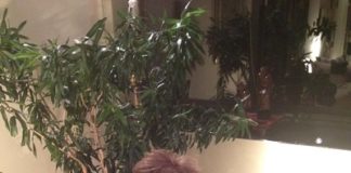 Tribute to Selda Chender