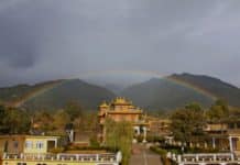 Translating the Words of the Buddha