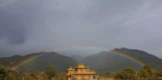 Translating the Words of the Buddha