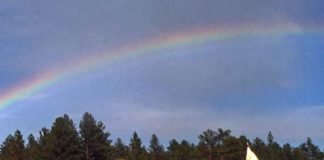 Karmapa Speaks of Kindness on International Day of Climate Action