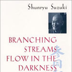 branching_streams