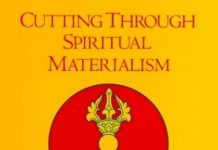 Cutting Through Spiritual Materialism