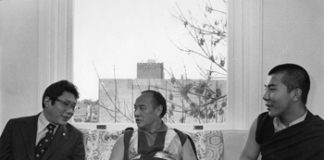 You Knocked Over the Musician!