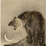 japanese tiger pic