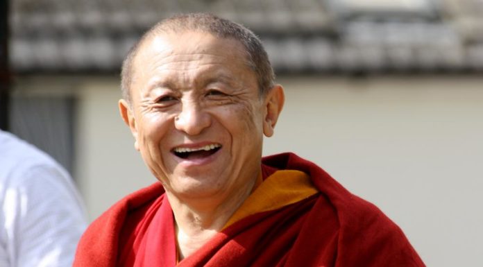 Chokyi Nyima Rinpoche
