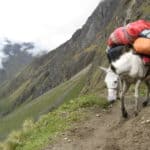 10.Approaching the Salcantay pass 4,600meters