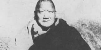 All right. Ready. Do it.