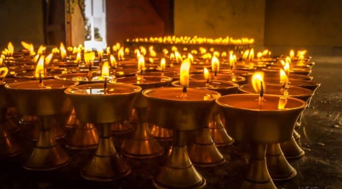 19 Years of Offerings to the Vidyadhara