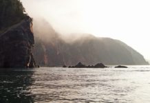 On the 31st Parinirvana