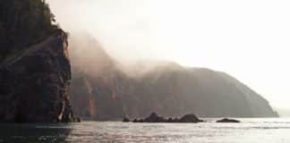 On the 31st Parinirvana